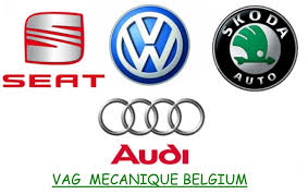 VW Audi Skoda Seat